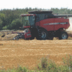 combine harvesting in a field