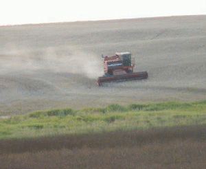 combine in a field