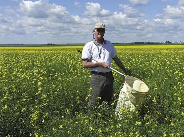 man in field with net for catching grasshoppers