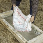 Copper deficiency can hide in your herd