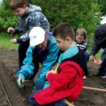 Woman helping children plant vegetables