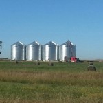 See the Canadian Grain Commission’s website for safe storage guidelines by crop (at bottom).