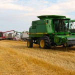 Love is learning how to say ‘sorry’ at harvest
