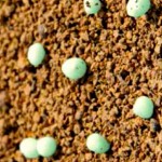 ESN, a polymer-coated fertilizer product, may not be the answer for all winter wheat growers but does add another option.