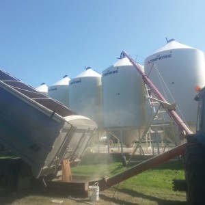 grain truck and auger