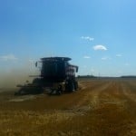 combine harvesting wheat in a field