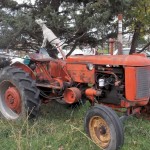 goat atop a tractor