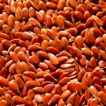 flax seed