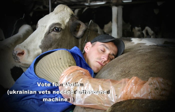 man hugging a cow