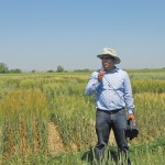 Dr. A. K. (Danny) Singh, former durum breeder at AAFC Swift Current, enjoyed explaining his research to farmers at field days. Dr. Singh moved to Iowa State University in 2013.