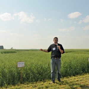 man standing beside wheat field