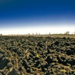 farmed soil