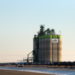 A CN train waits at a Cargill terminal near North Battleford, Sask., on December 4. While grain movement has picked up in recent months, farmers still have long-term concerns about the transportation system.
