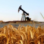 oil derrick pumping in a wheat field