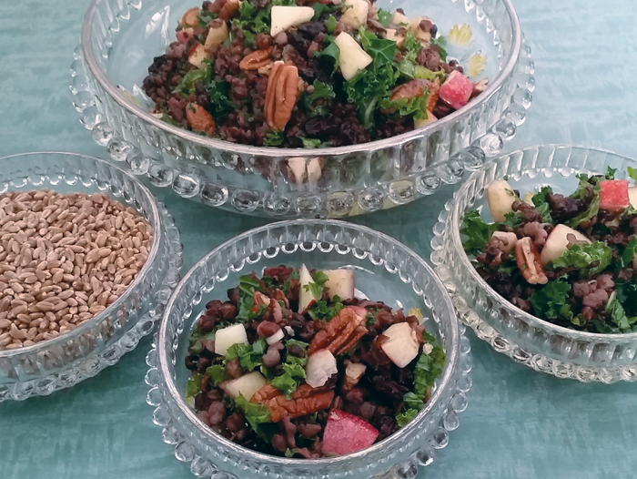 salad dishes