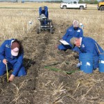 It’s a lot of tedious work to looking into seed survival by digging into a seed row after seeding to count seeds, measuring spacing between seeds and confirming seed depth.