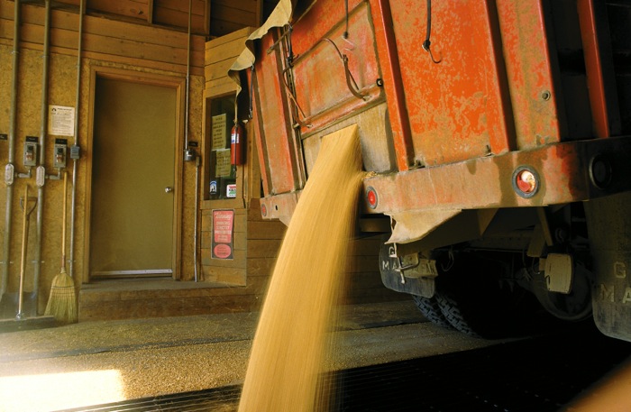 grain truck unloading