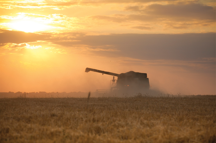 combine harvesting