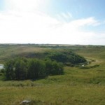 pasture