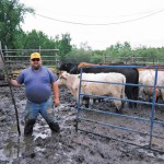 man standing in mud with cattle in background