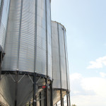 Torch River’s million-dollar loading facility has been running since June 2014. There are four bins, holding 14,000 bushels each.