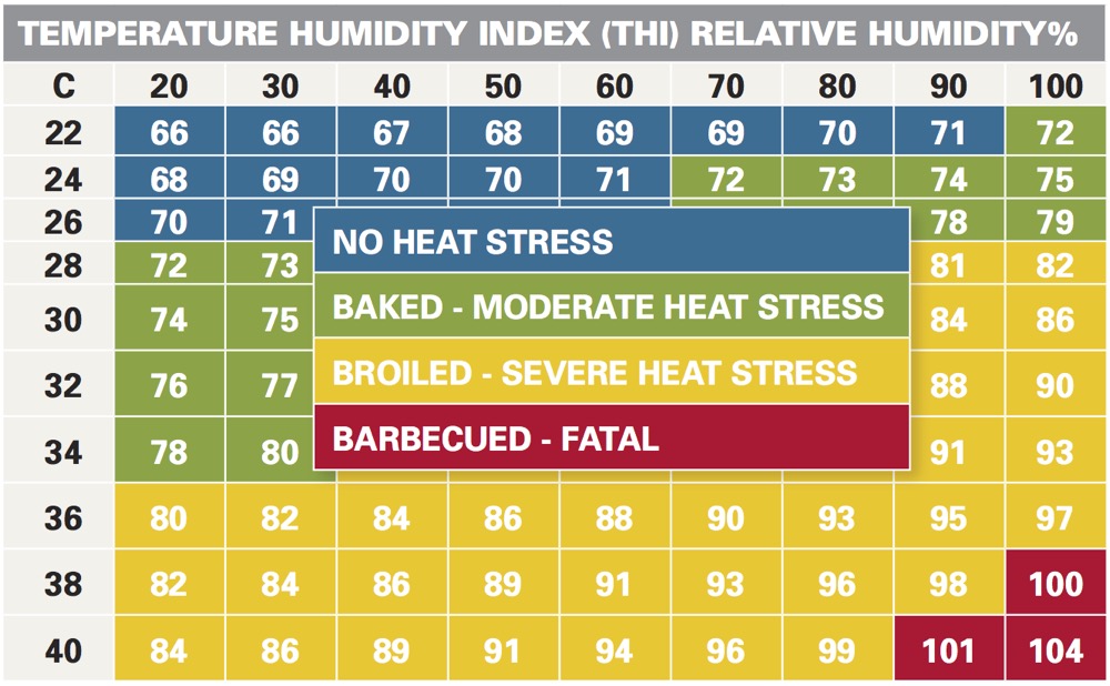 This chart shows when temperature and humidity combine to cause heat stress.