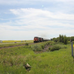 A CN train makes its way towards North Battleford (photo taken just north of Maymont, Sask).
