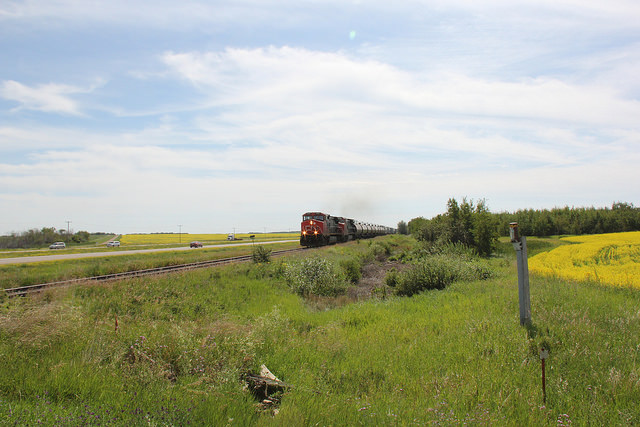 A CN train makes its way towards North Battleford (photo taken just north of Maymont, Sask).