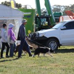 Border collies, and other dogs, welcome at AgQuip Field Days.