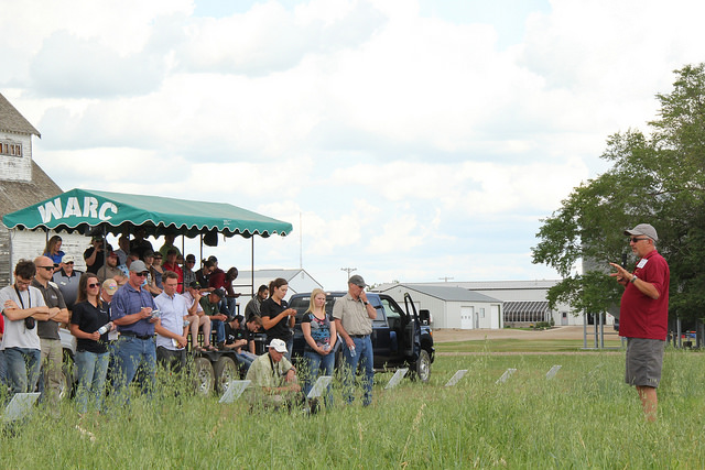 Eric Johnson outlines minor use trials looking at pyroxasulfone in lentils during Western Applied Research Corporation's annual field day during AAFC's research farm at Scott, Sask.
