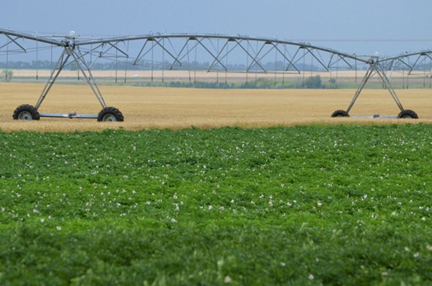 Irrigation: Past, present and future