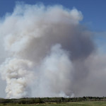 A forest fire burns north of Turtle Lake, Sask. on May 21, 2015.