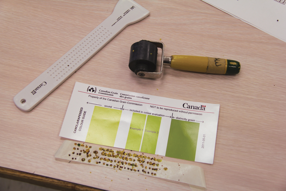 canola sample