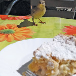 Enjoying apfelstreuselkuchen
in a café in Berlin.