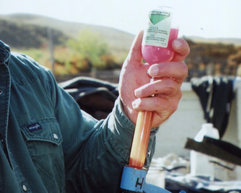 Putting thought into changing vaccine lines