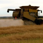 combine harvesting