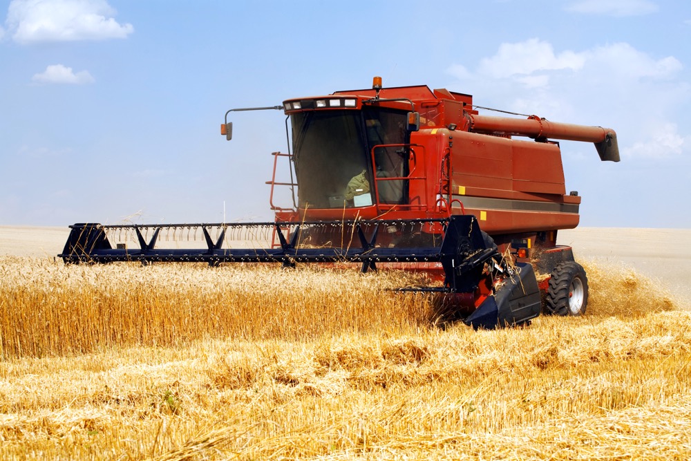 combine harvesting wheat