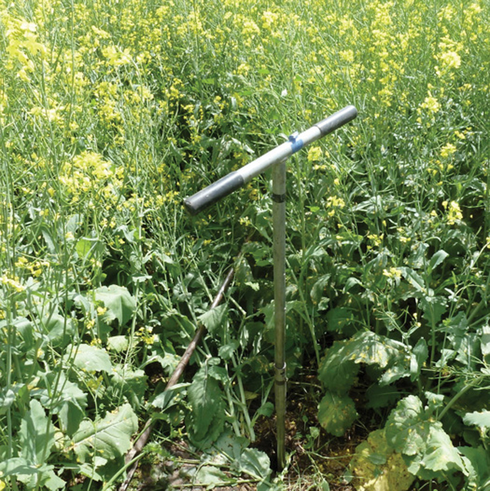 I took this photo of the auger in the hole and drilling in progress on July 18.