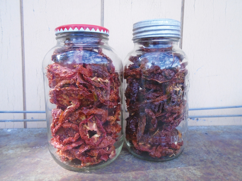 We find the taste of dehydrated tomatoes batter than canned ones.