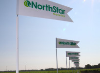 NorthStar Genetics has two new varieties on the market for 2016.