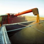 Fair weather gets Sask. producers back in the field, crops 91 per cent harvested