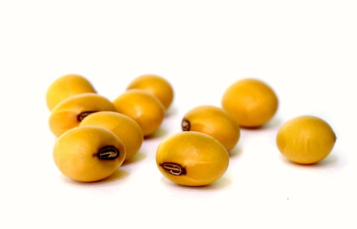 soy beans
