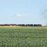 A CN train near the Scott Research arm in Sask.