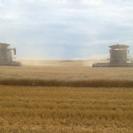 Building a 137 bushel CPS crop