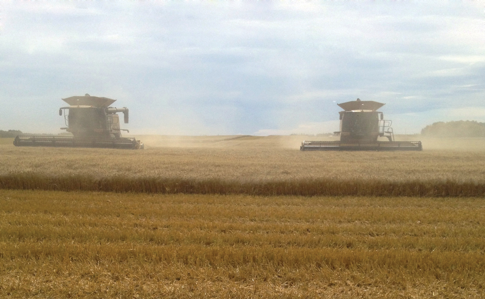 Building a 137 bushel CPS crop