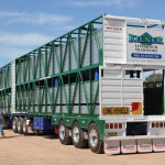 A typical double-deck livestock truck in a B train configuration.