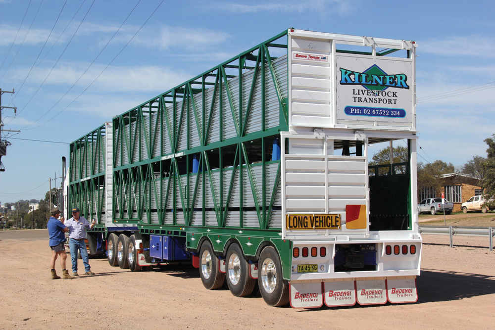 A typical double-deck livestock truck in a B train configuration.