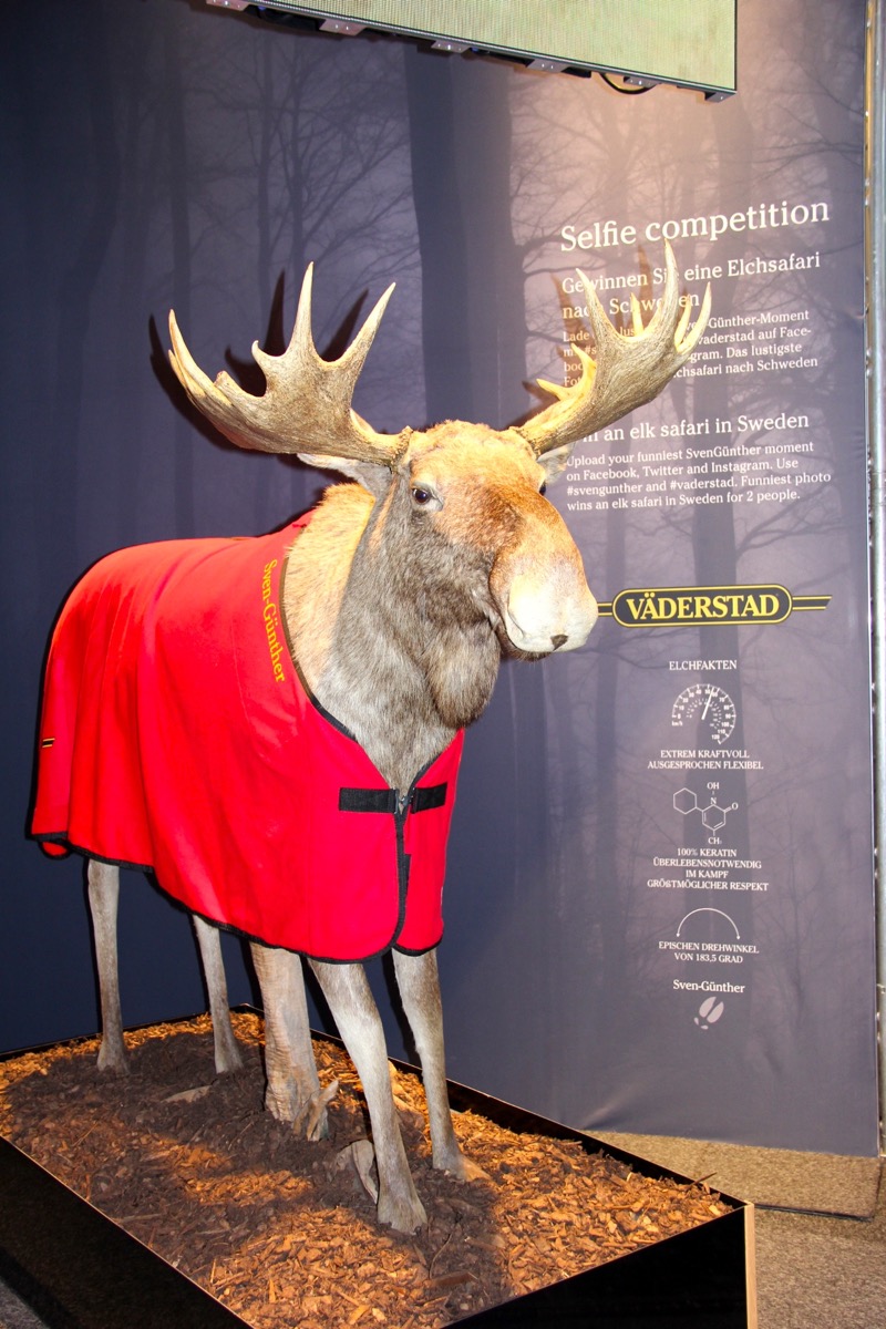 Väderstad, parent company of Saskatchewan-based Seed Hawk, held a selfie competition. Visitors could take their picture beside the moose and enter it to compete for a prize.