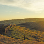 My aunt and uncle’s ranch south of Maple Creek, which was one of our stops on the tour.
