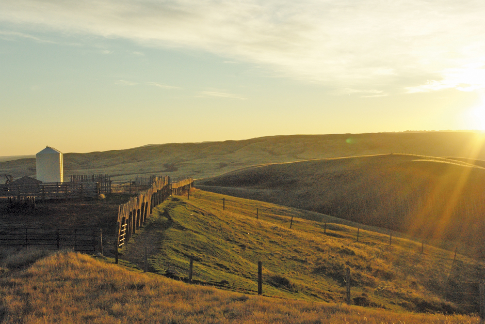 My aunt and uncle’s ranch south of Maple Creek, which was one of our stops on the tour.